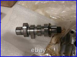 2017-2020 Harley Davidson Genuine Cam and Oil Pump from 2019 CVO 117 25400273